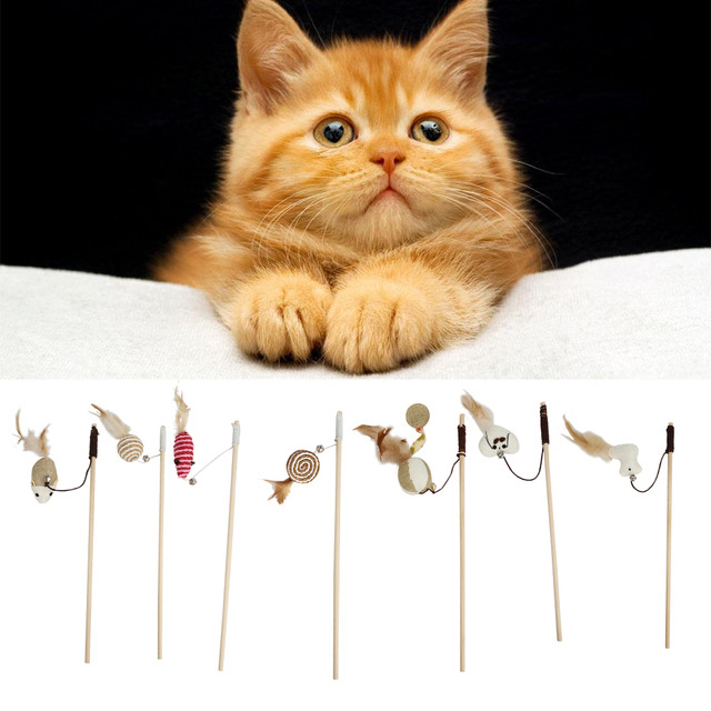 Gatos vara chaser varinha brinquedo interativo jogos gato teaser varinha  brinquedo leve melhorar as relações do animal de estimação para casa  acessórios para animais de estimação - AliExpress